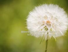 开云体育app-火山与航海日志，当安哥拉的冷火灼伤那不勒斯的神殿