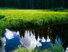 开云体育-数据哑火之夜，戈贝尔用一记封盖为防守正名，篮球的真理从未改变