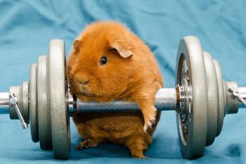 开云APP-街道赛风云，F1激战中新疆篮球终结辽宁王朝