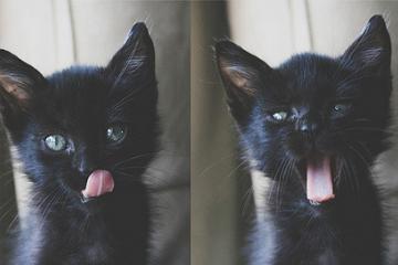 开云体育-小贾伦-杰克逊独挑大梁，独行侠客场险胜深圳，新生代巨星价值彰显