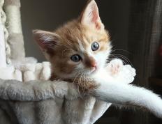 开云体育官网-街道赛巅峰对决，波兰力克巴黎夺F1焦点战胜利