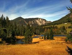 开云体育下载-奥亚尔萨瓦尔手术刀般切割防线，摩纳哥战术碾压制伏莱比锡红牛