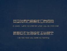 开云官网-引擎轰鸣中的交响指挥家，范弗利特如何用节奏主宰F1争冠之夜