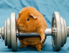 开云体育官网-双重终结者，姆巴佩国家队一锤定音，英超争冠战临危救主