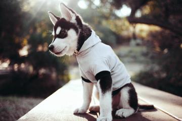 开云体育下载-防守的艺术，从斯通斯的致命封锁到尼罗河畔的无声博弈