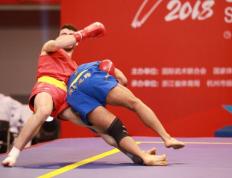 开云体育平台APP-体操战术革新取得奇效，引发战术热潮的简单介绍