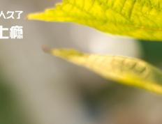 开云APP-广东队血拼奇才，塔图姆成关键先生改写中美篮球交流篇章