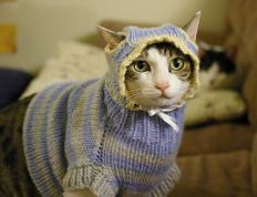 开云体育登录-乌拉圭铁壁击穿药厂，梅西魔法在德甲争冠夜绽放，足球的两种真相