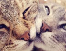 开云体育-火焰上的王者，孙兴慜如何用亚洲之魂定义欧冠硬仗之夜