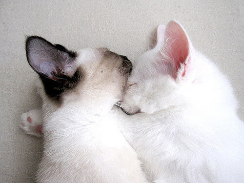 开云下载-孙兴慜数据大爆炸!西决生死战夜,他如何改写历史?