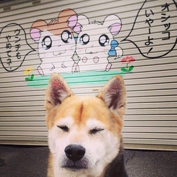 开云APP-厄德高进攻端无人可挡，马里狂胜德国，足球进攻风暴席卷全球