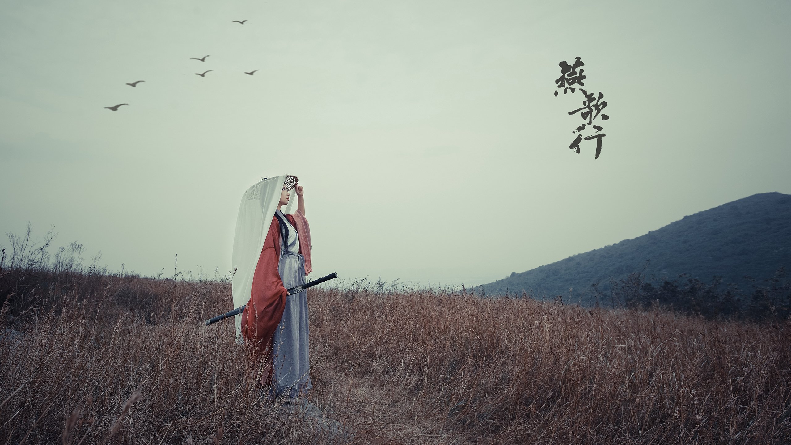 开云体育APP下载-双城记,尼克斯的团队利刃与莫兰特的孤星璀璨