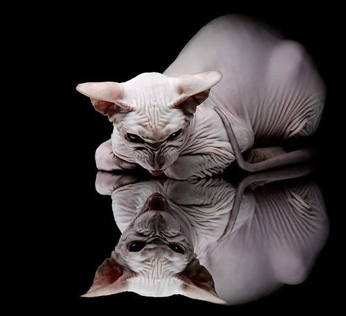 开云下载-从绝境到王座，卡瓦哈尔的南非决战，一场献给压力本身的救赎