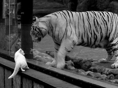 开云平台-字母哥闪耀全场,湖人末节力克深圳队