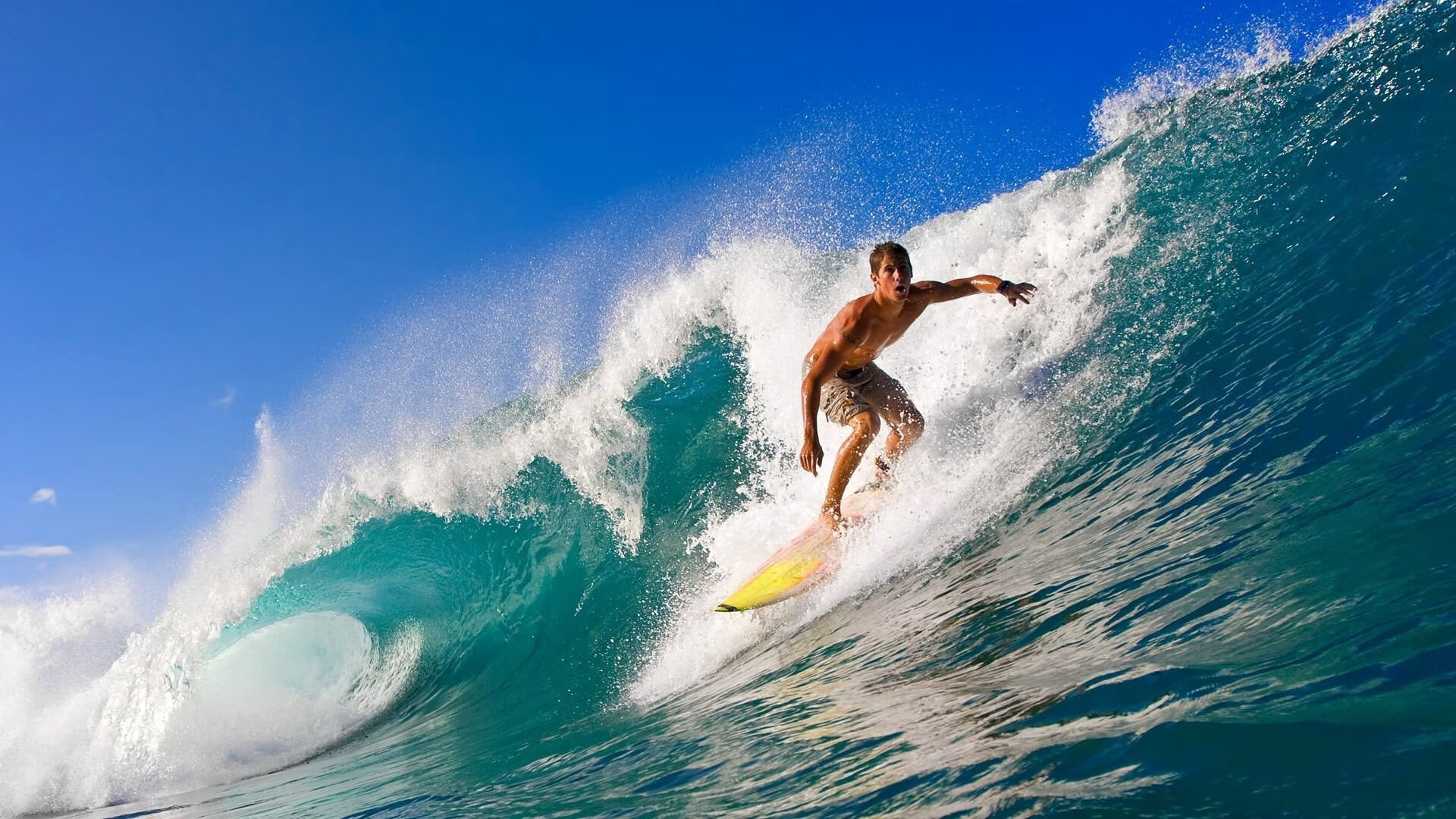 开云体育平台APP-当太阳遇见公牛，谁配得上约基奇式的完美？