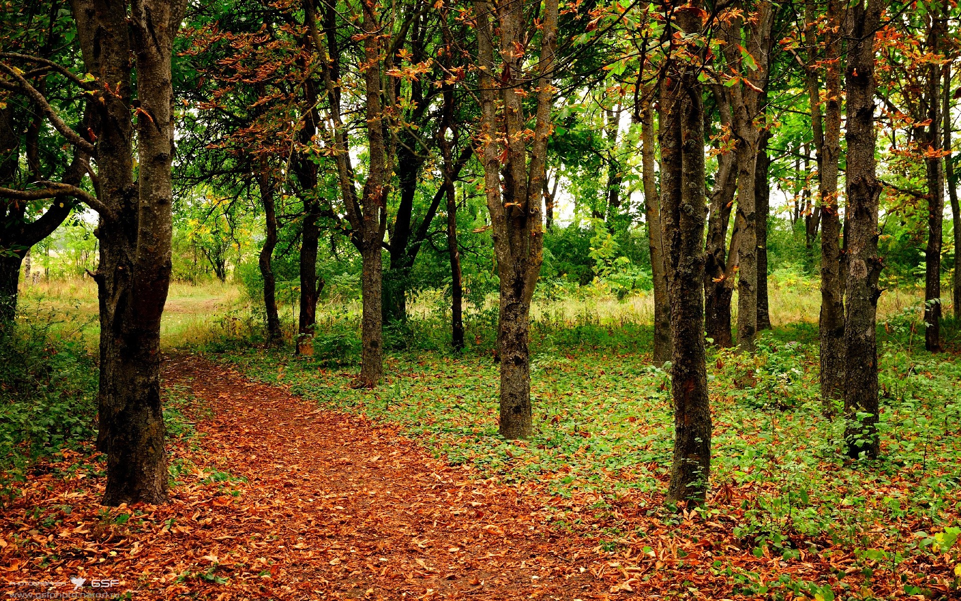 开云体育中国-铁壁与流沙，步行者如何用节奏的绞索，让深圳队在窒息中崩盘