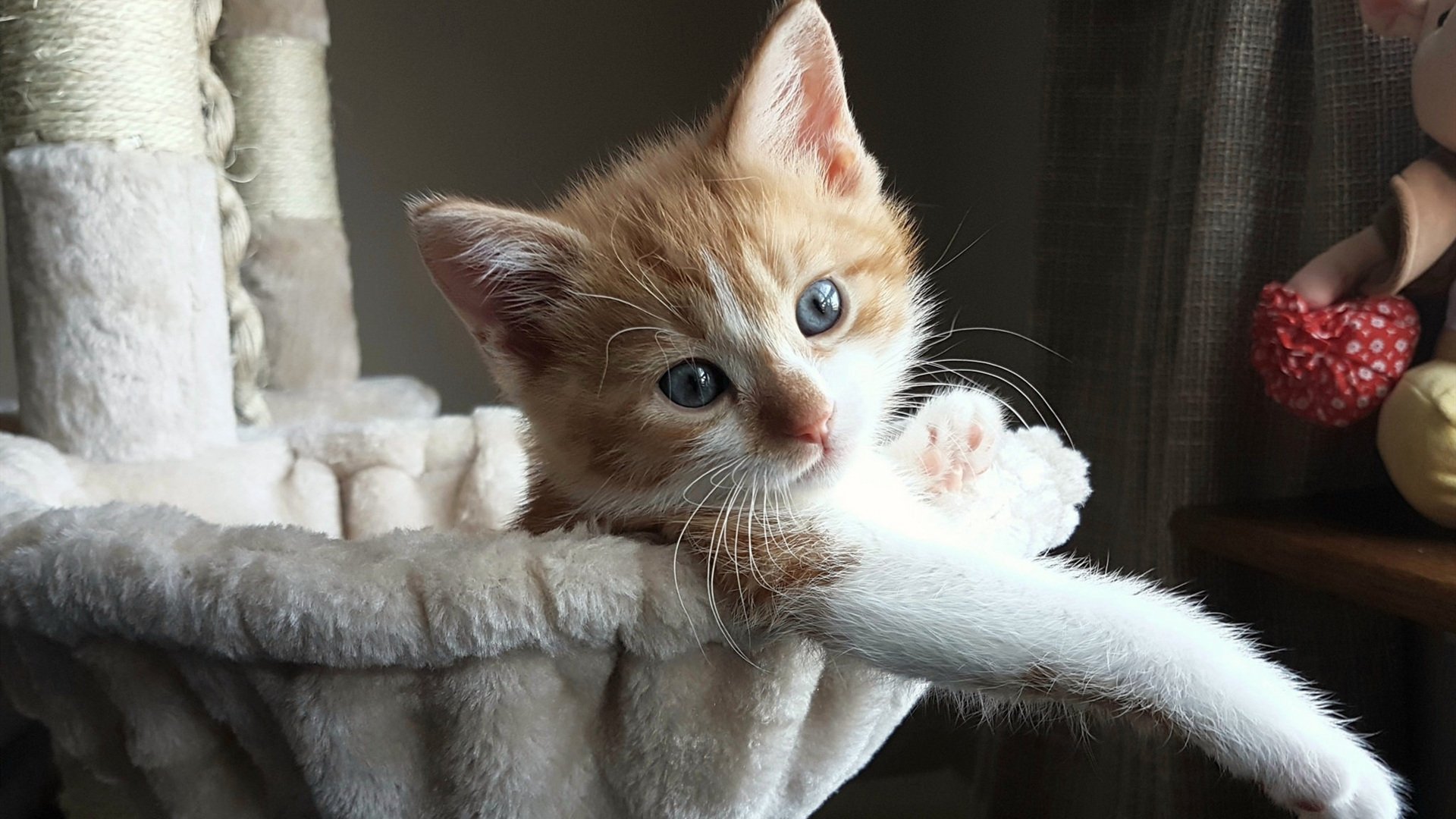 开云体育官网-街道赛巅峰对决，波兰力克巴黎夺F1焦点战胜利