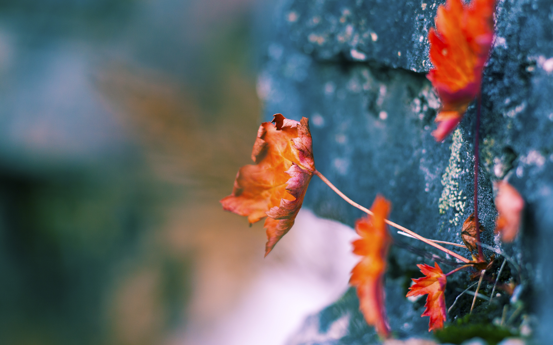 开云体育入口-世界排名争夺战之夜，黑马逆袭与布克那无法忽视的存在感