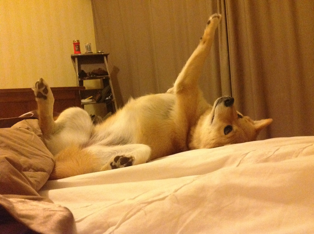 开云体育登录-尼日利亚制造蓝月风暴，罗德里一锤定音