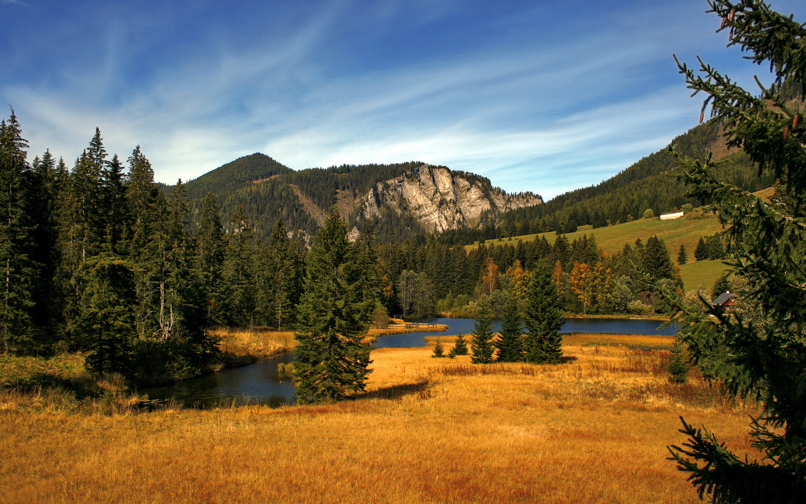 开云体育下载-奥亚尔萨瓦尔手术刀般切割防线，摩纳哥战术碾压制伏莱比锡红牛