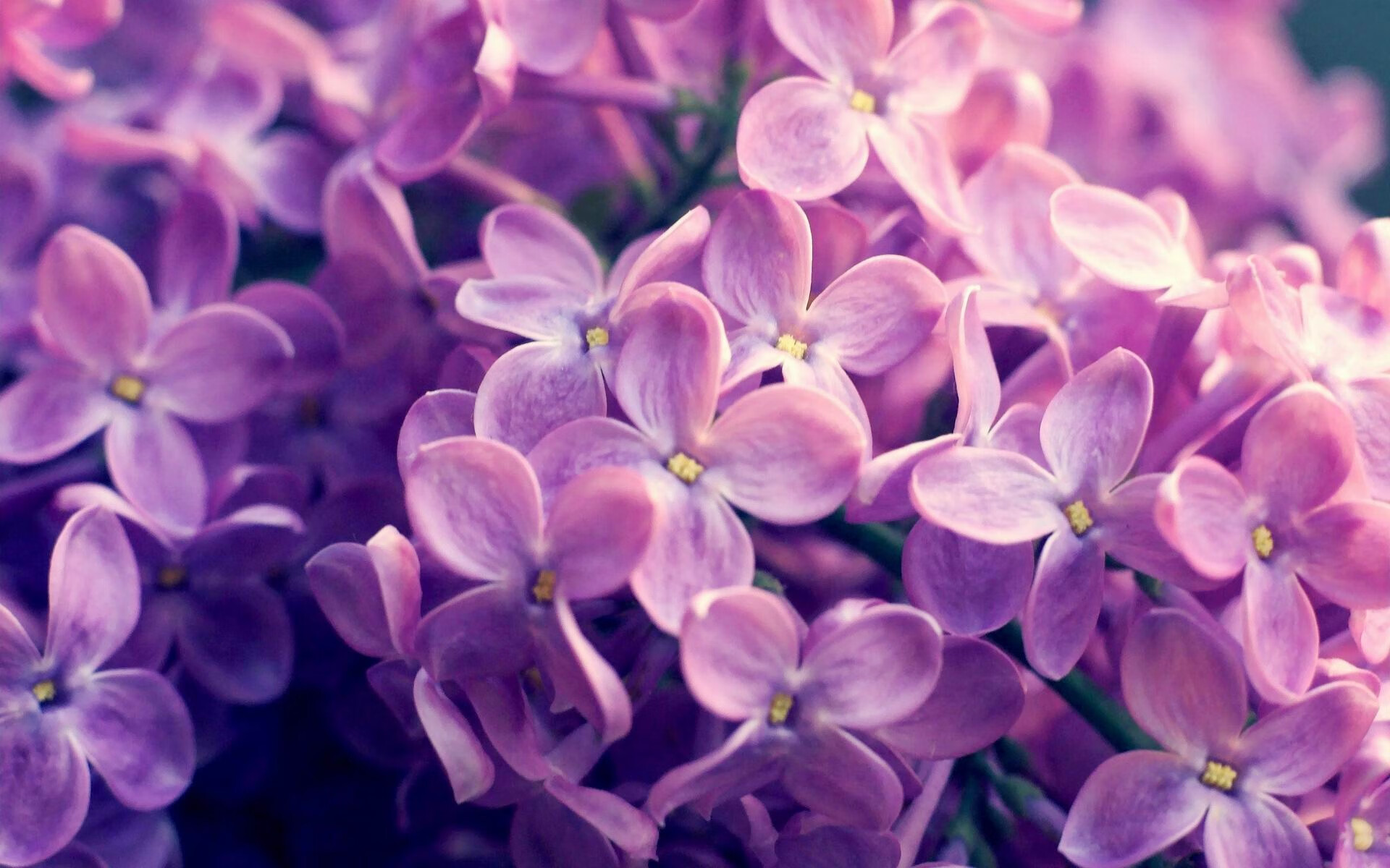 开云体育-当赛道与绿茵场同夜狂欢，破纪录的双重奏