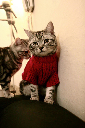 开云体育在线-绿茵场上的璀璨双星，拉什福德生涯之夜绽放光芒，突尼斯轻取瑞士谱写历史新篇