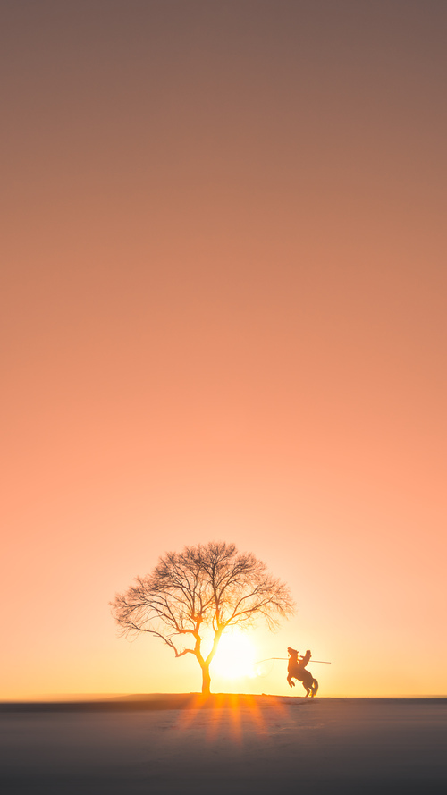 开云体育app-马刺单节风暴拉开黄蜂，拉梅洛·鲍尔逆境中化身关键先生